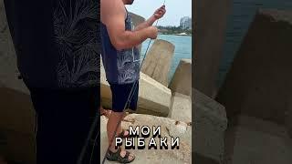 Рыбалка /Израиль /Ашкелон Марина #израиль #рыбалка