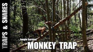 The Monkey Trap (Jungle Survival)