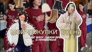 ШОПИНГ ВЛОГ: обзор брендов  LIME, INSPIRE, ZARINA, DUB, ALIEXPRESS, MAAG, NINKI