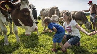 Государство Разоряет Фермеров | Цены на продукты растут | Стоит ли заниматься Откормом?