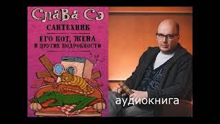 Сантехник, его кот, жена и другие подробности | аудиокнига полностью