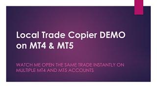 Local Trade Copier DEMO on MT4 and MT5