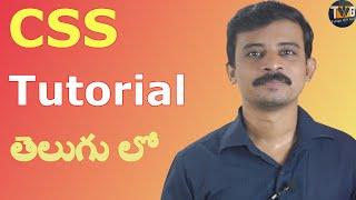 CSS TUTORIAL IN TELUGU  - Part 1 | CSS Introduction | Telugu Web Guru