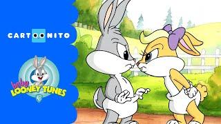 Baby Looney Tunes | The Right Thing | Cartoonito UK