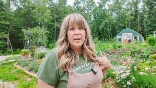 How I Afford To Live Off Grid