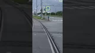 Чижик Трамвай ТКК Санкт Петербург