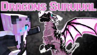 DRAGON SURVIVAL//КАК СТАТЬ ДРАКОНОМ//ПОЛНЫЙ ОБЗОР МОДА НА МАЙНКРАФТ 1.16.5 FORGE