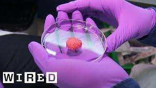 Inside the Quest to Make Lab Grown Meat | WIRED