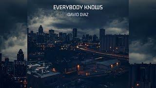 David Diaz - Everybody Knows (From Justice League)(Cover)