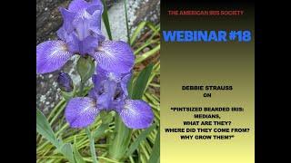 AIS Webinar #18 “PINTSIZED BEARDED IRIS: Medians - What are they? Where did they come from?... ”