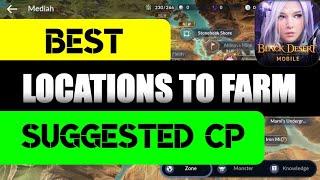 Basic Understanding to Farming/Grinding & Best Locations to Farm by CP, Black Desert Mobile