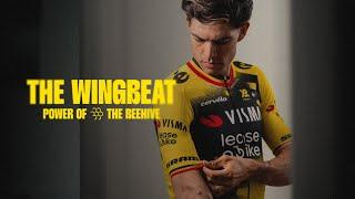 Our Special Tour of Flanders Jersey! - THE WINGBEAT | Power of the Beehive 