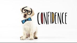Puppies with Purpose - Dogs Inc 2016