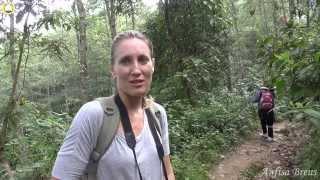 freelancelifestyle ru Vietnam 262 5 Sapa Private Trekking