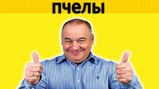 Игорь Маменко - пчелы