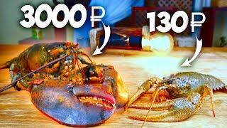 LOBSTER vs CRAYFISH! WHAT TASTES BETTER?