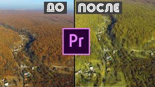 Самый простой способ заменить цвет в Premiere Pro