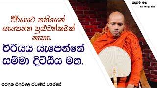 වීර්යය යැපෙන්නේ සම්මා දිට්ඨිය මත.2382Ven Hasalaka Seelawimala Thero