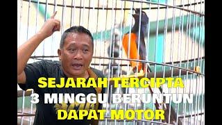 SEJARAH TERCIPTA 3 MINGGU BERUNTUN DAPAT MOTORSETAN ALAS - BAGUS JUANA DI GELARAN MBOIS ILAKES.