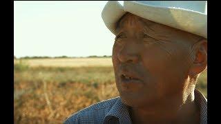 USAID Agro Horizon Project Builds Partnerships to Spur Economic Growth in Kyrgyzstan