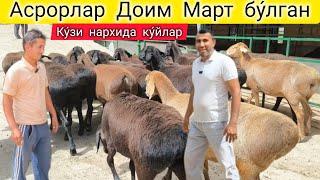 СУРХОНДАРЁ ХИСОРИ КУ́ЙЛАРИ АРЗОНЛАГАН ПАЙТИДАН ФОЙДАЛАНИНГ