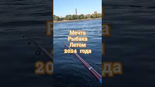 Рыбалка#санктпетербург #рыбалка #клюет #лето #2024 #fishing #рыбалкаскомфортом #