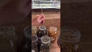 the process of tinctures 