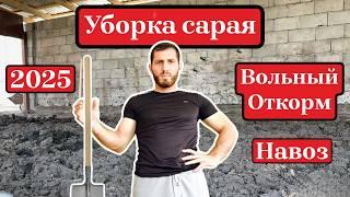 Навоза по колено! Уборка сарая вручную БЕЗ ТЕХНИКИ  | 3 дня за 3 минуты