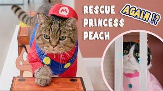 Super Mario Cat Save Princess Peach