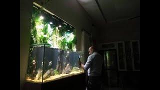 A 5FT Paludarium - Planted Tank by Fish On Wheels