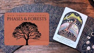 Phases & Forests Oracle Deck & Pairing