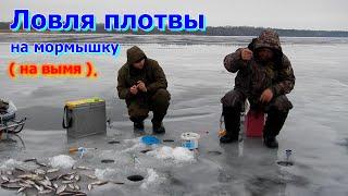 Зимняя рыбалка.Ловля плотвы на мормышку ( на вымя ).