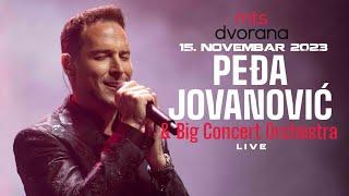 PEDJA JOVANOVIC & BIG CONCERT ORCHESTRA - LIVE CEO KONCERT - (15.11.23 MTS DVORANA)