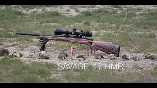 FX IMPACT M3 AND SAVAGE  17 HMR CHASING GROUND SQUIRRELS AND PRAIRIE DOGS