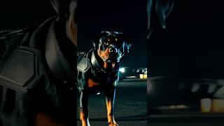 Dogs unite again to fight evil. Be prepared. #dogs #movie #metal