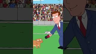 The 5 Funniest Cat Moments In Family Guy
