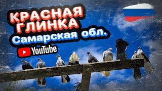 Николаевские голуби Красная Глинка. Самарская обл. В гостях у Алексея. 2024