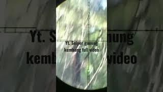@snipergunungkembang  full video hunting