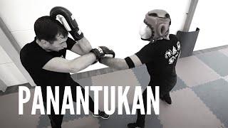 PANANTUKAN | Filipino Boxing by David Bertrand