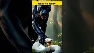 black panther versus snake #usa #wildlife #uk #animals #usatrending