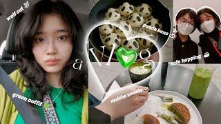 vlog  What I've been up to | asian market, cafe hopping, CNY celebration, panda steam buns