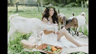 13 TIPS TO DESIGN AN AESTHETIC WEBSITE // LAURA DIFRANCESCO