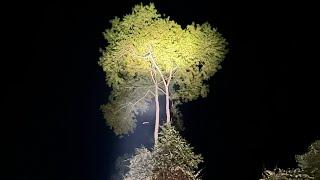 Борнео (Borneo) Долина Данум часть 1, Малайзия, Кота-Кинабалу, Сандакан, Сепилок, остров Селинган