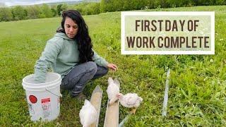FIRST DAY AT WORK then back to work on my own homestead
