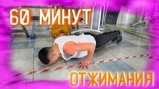 ЧТО БУДЕТ , ЕСЛИ ОТЖИМАТЬСЯ 60 МИНУТ?