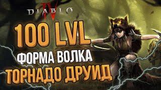 DIABLO 4 ГАЙД НА ДРУИДА ЧЕРЕЗ СМЕРЧ (ТОРНАДО) | БЫСТРЫЙ И КОМФОРТНЫЙ БИЛД