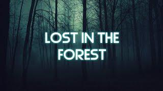 Marianz - Lost in the Forest [Music Video]