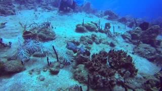 St kitts - Saba, Explorer ll, Gopro Hero 3