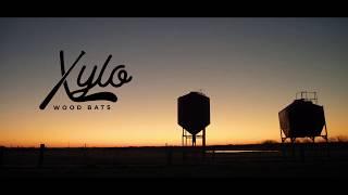 Xylo Bats | Custom Wood Baseball Bats