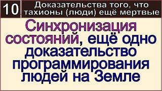 Грядущий царь, мессия, Махди, Машиах Сергей Тимур  Как увидеть работу программ матрицы